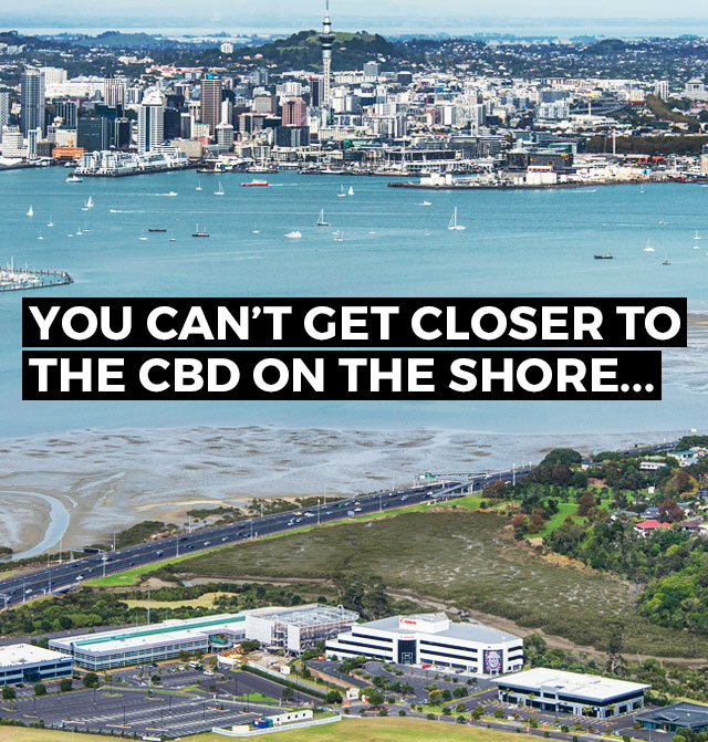 YOU CAN'T GET CLOSER TO THE CBD ON THE SHORE... 