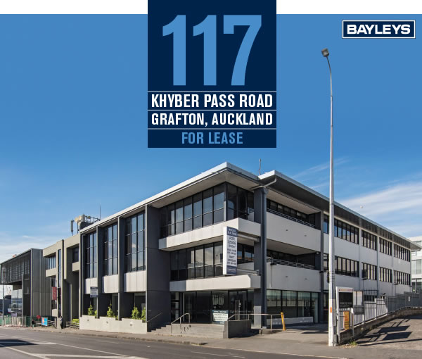 117 Khyber Pass Road, Grafton, Auckland
