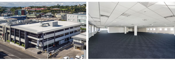 117 Khyber Pass Road, Grafton, Auckland aerial